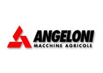 Logo Angeloni